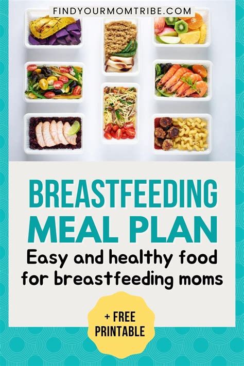 Its best to keep your calories between 1,500 and 1,800 daily or to speak to your doctor for a personal recommendation with your health history taken into consideration. . Meal plan for breastfeeding mothers to lose weight